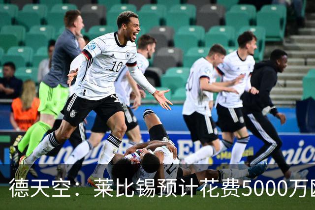 德天空：莱比锡预计花费5000万欧元买断格鲁达和艾纳维