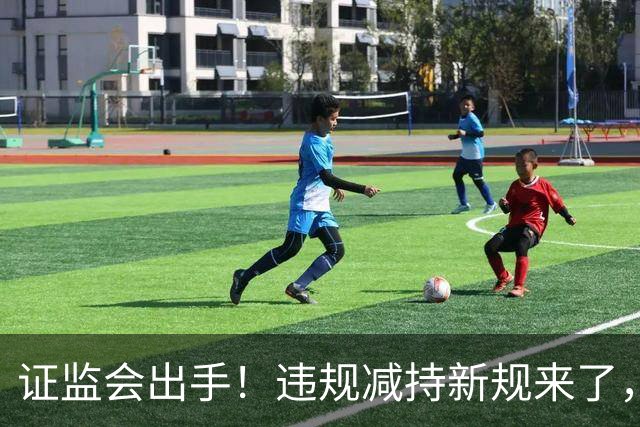 证监会出手！违规减持新规来了，对A股有何影响？