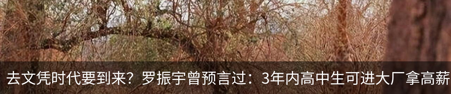 新闻动态