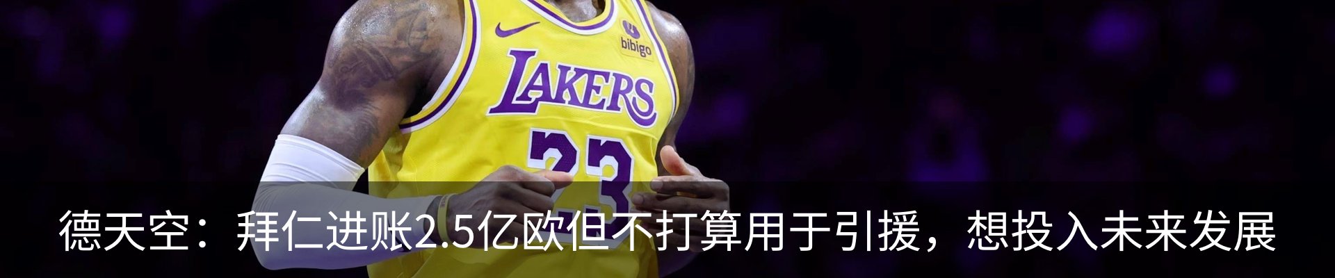 新闻动态