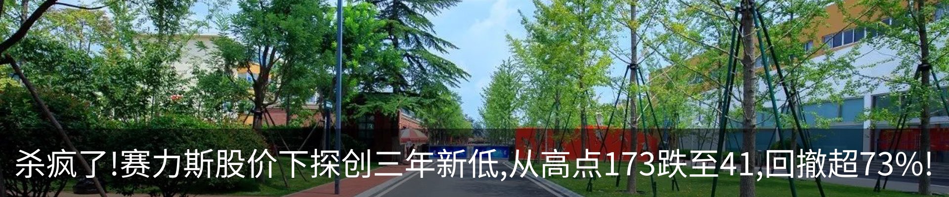 新闻动态