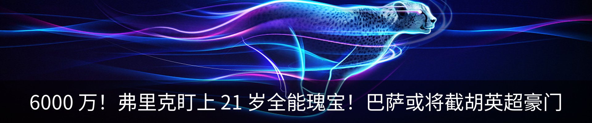 新闻动态